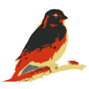 Kanaries logo
