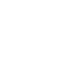 Sturppy Plus logo