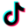 TikTok for Business MCP Server logo