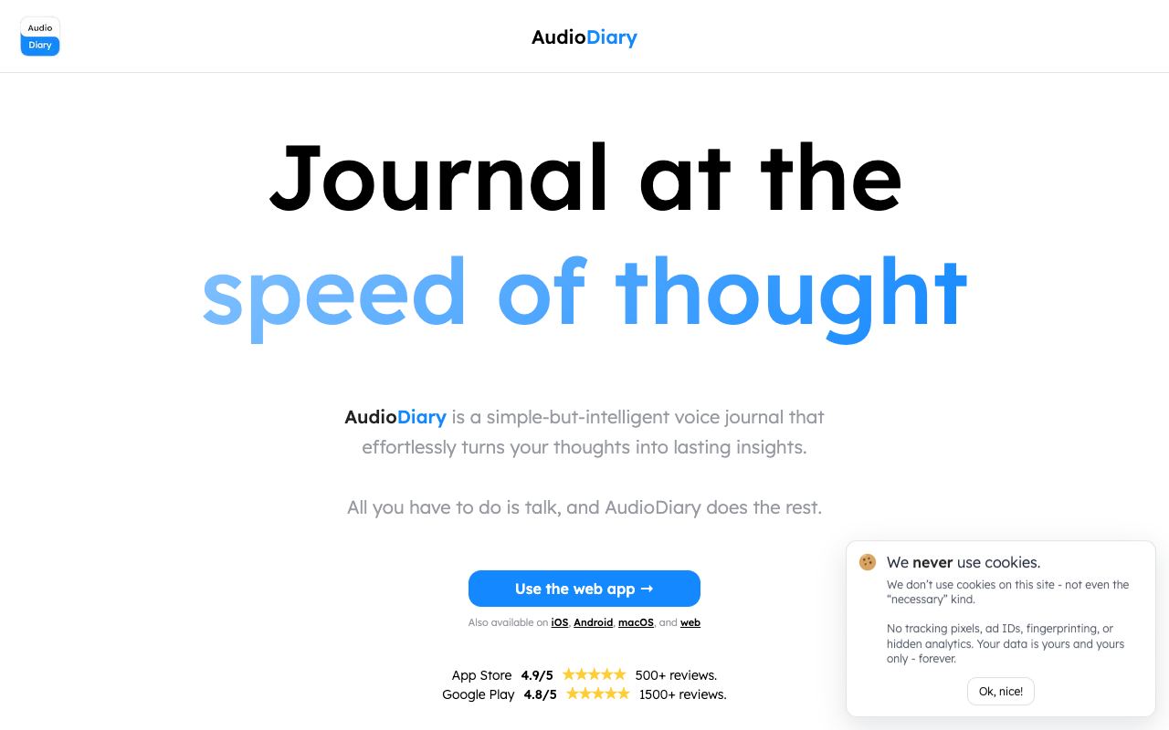 Audio Diary — website screenshot
