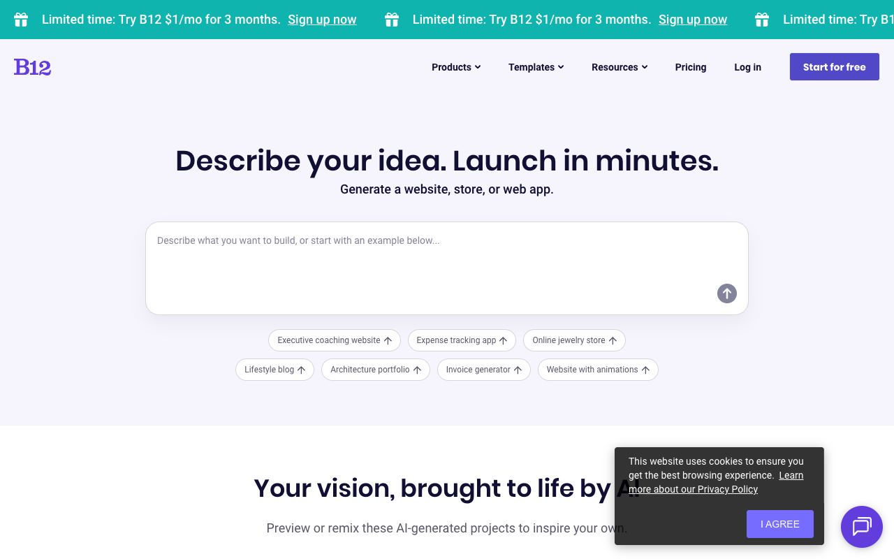 B12 — website screenshot