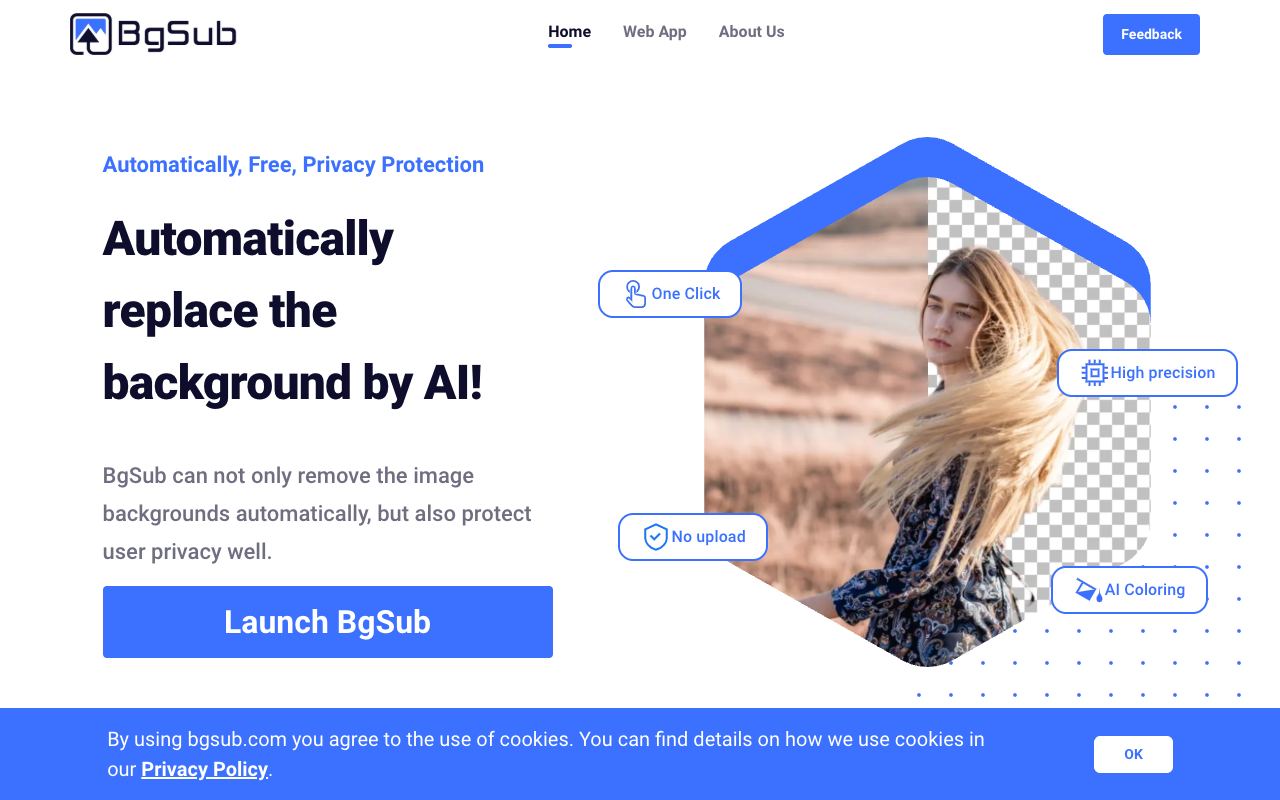 BgSub — website screenshot