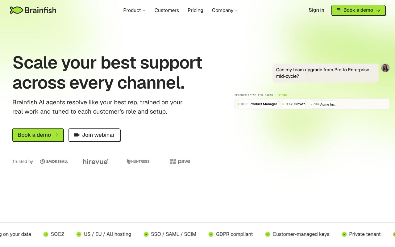 Brainfish — website screenshot