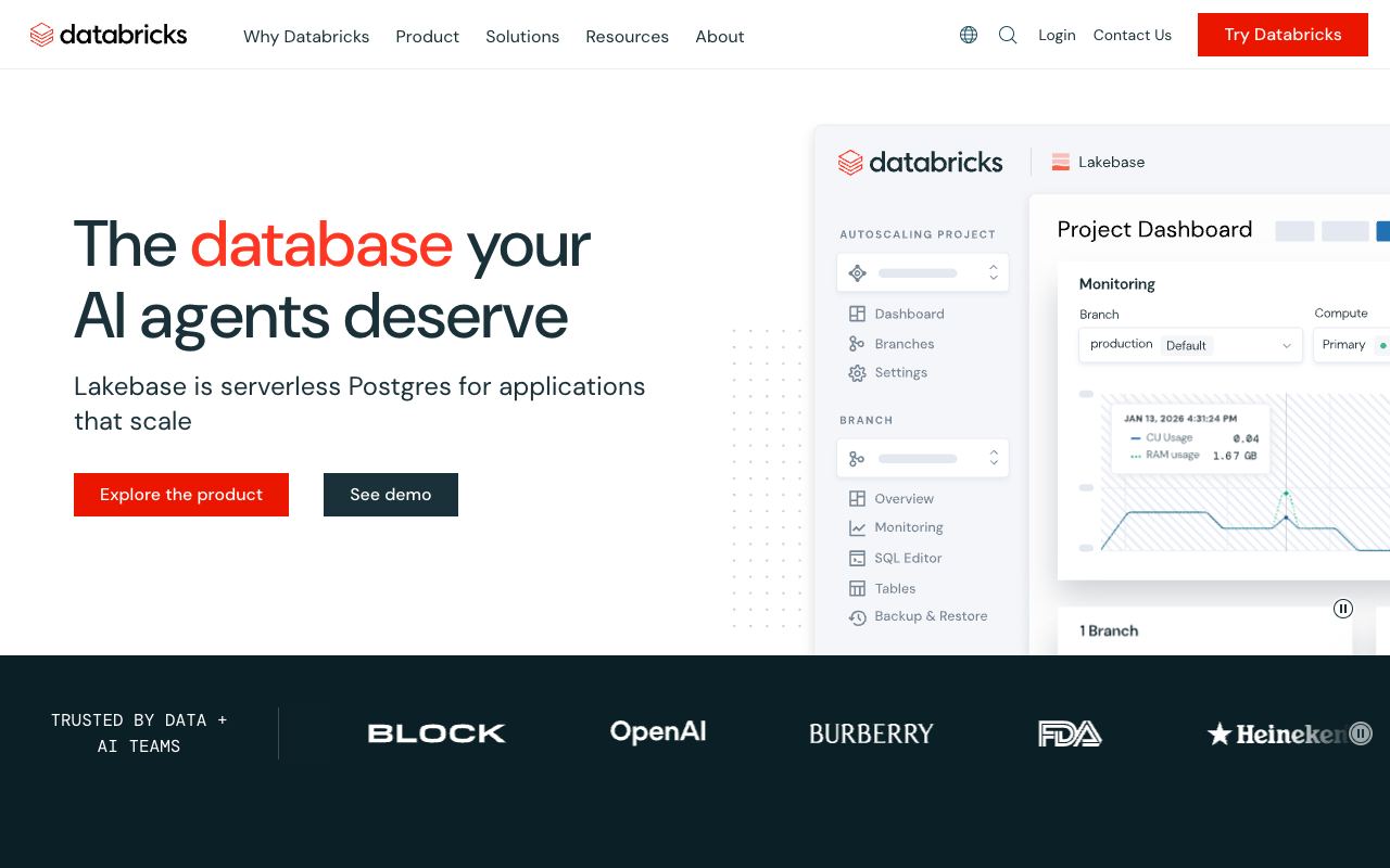 Databricks — لقطة شاشة للموقع