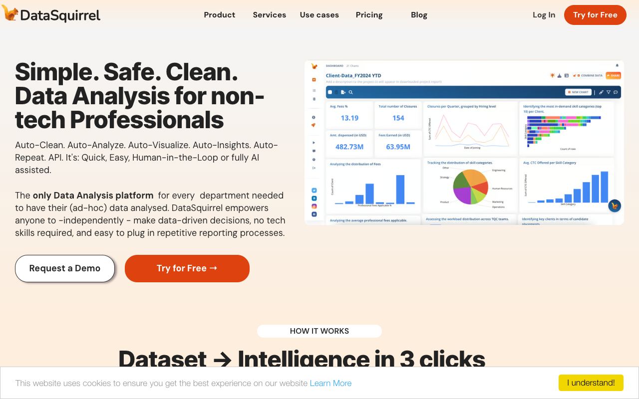 DataSquirrel — website screenshot