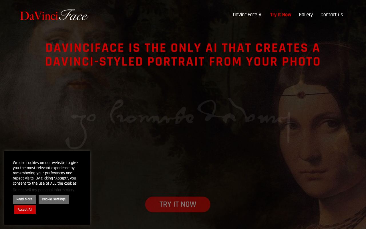 DaVinciFace — website screenshot