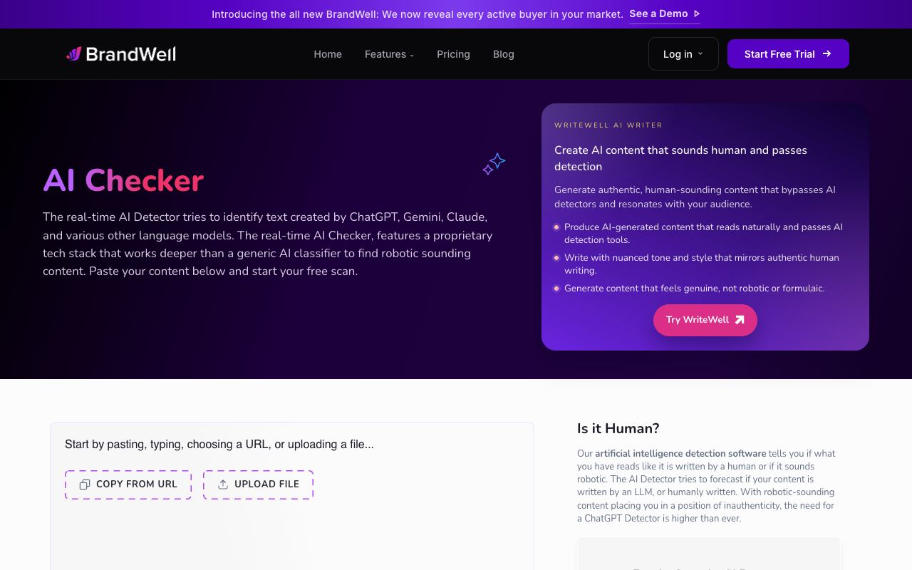 AI Detector — website screenshot
