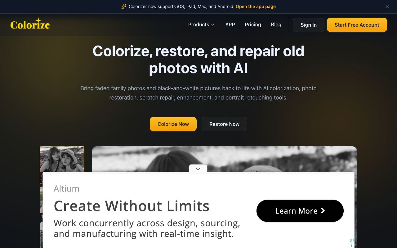 ImageColorizer — website screenshot