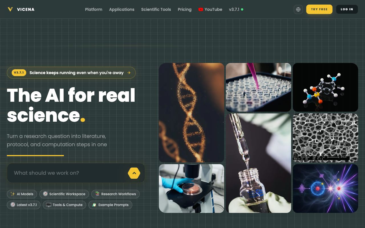 Vicena — website screenshot