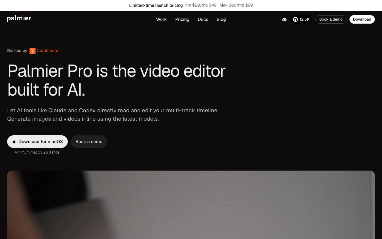 Palmier Pro — website screenshot
