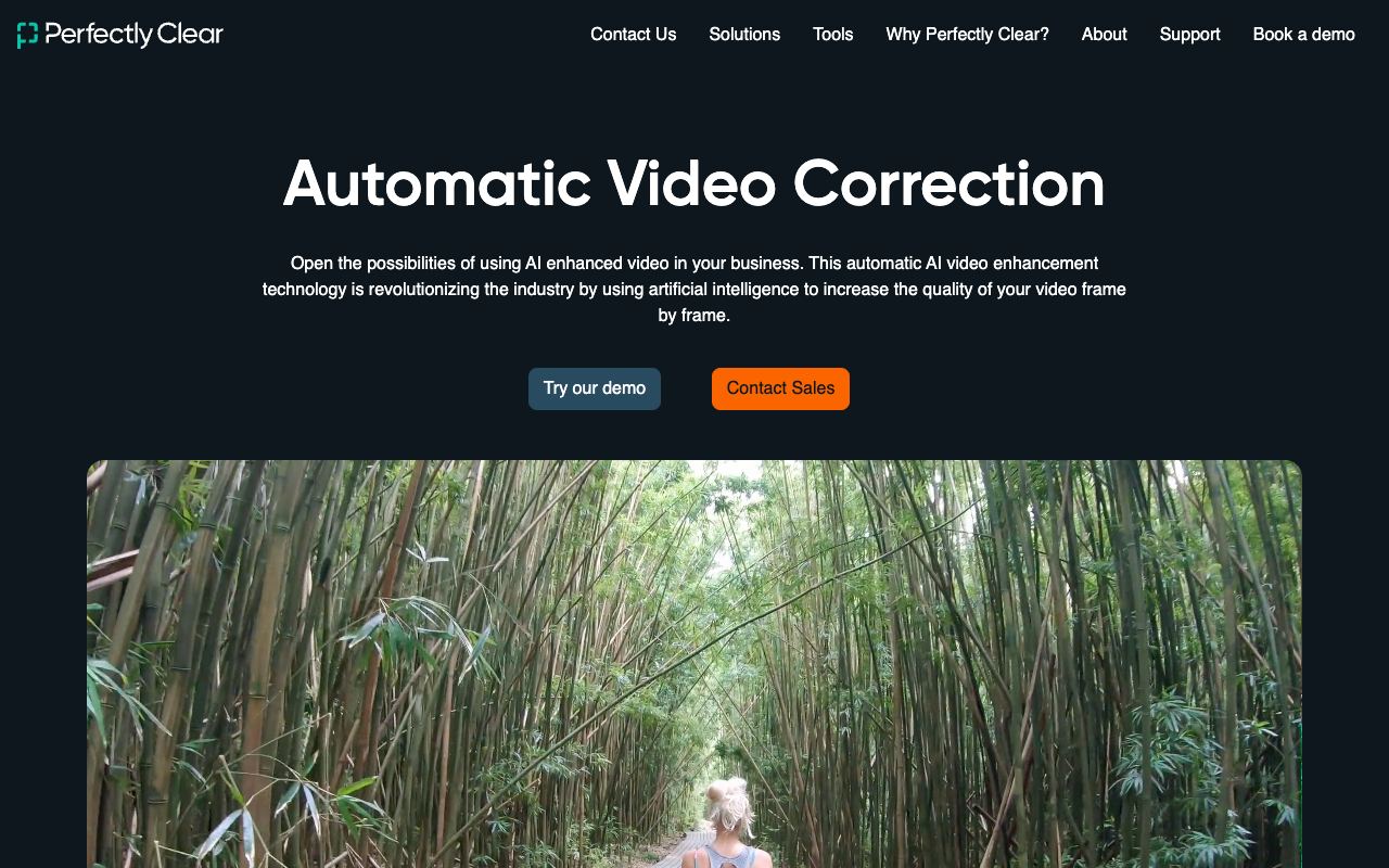 Perfectly Clear Video — website screenshot