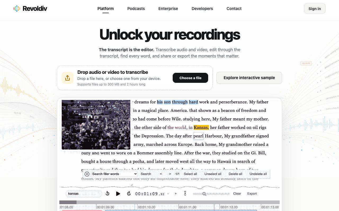 Revoldiv — website screenshot