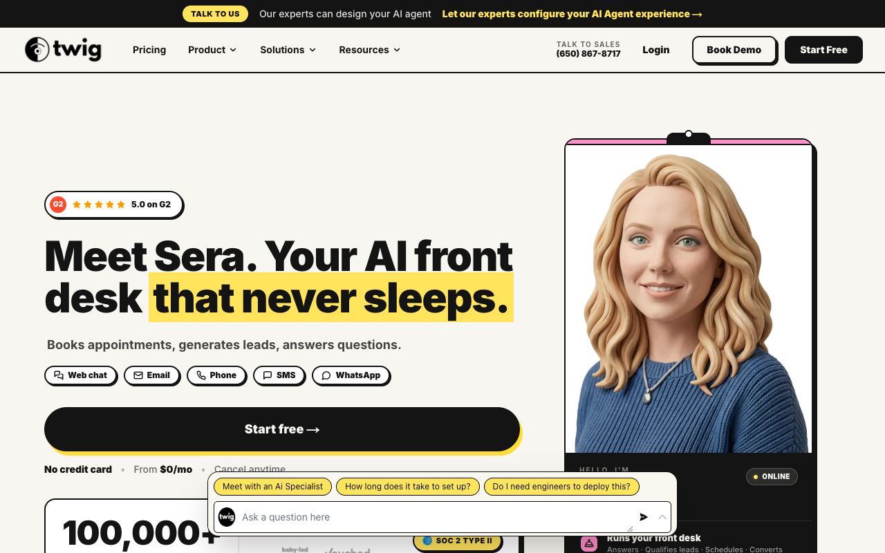 Twig AI — site ekran görüntüsü