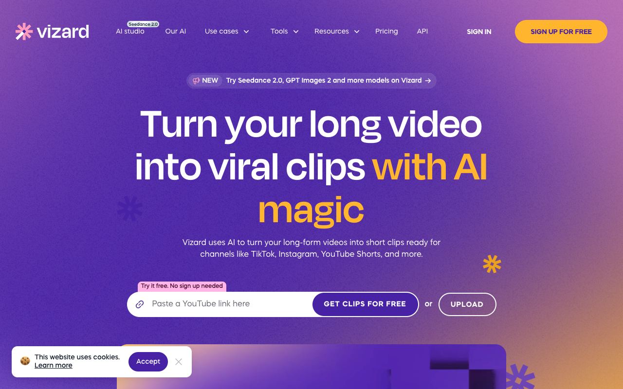 Vizard — website screenshot
