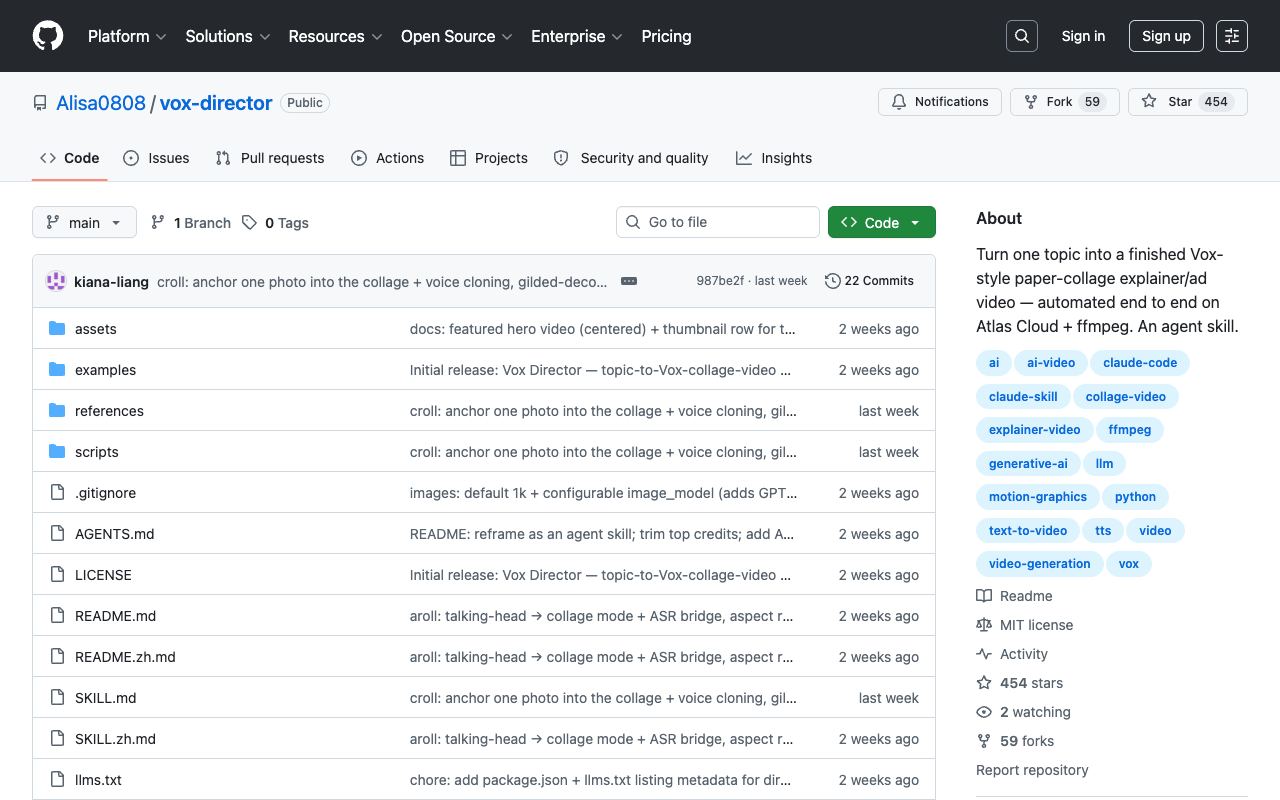 Vox Director — website screenshot