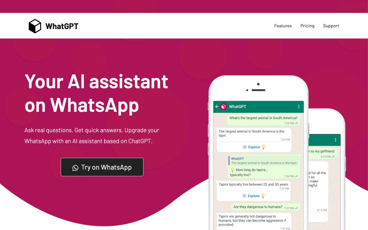 WhatGPT — website screenshot